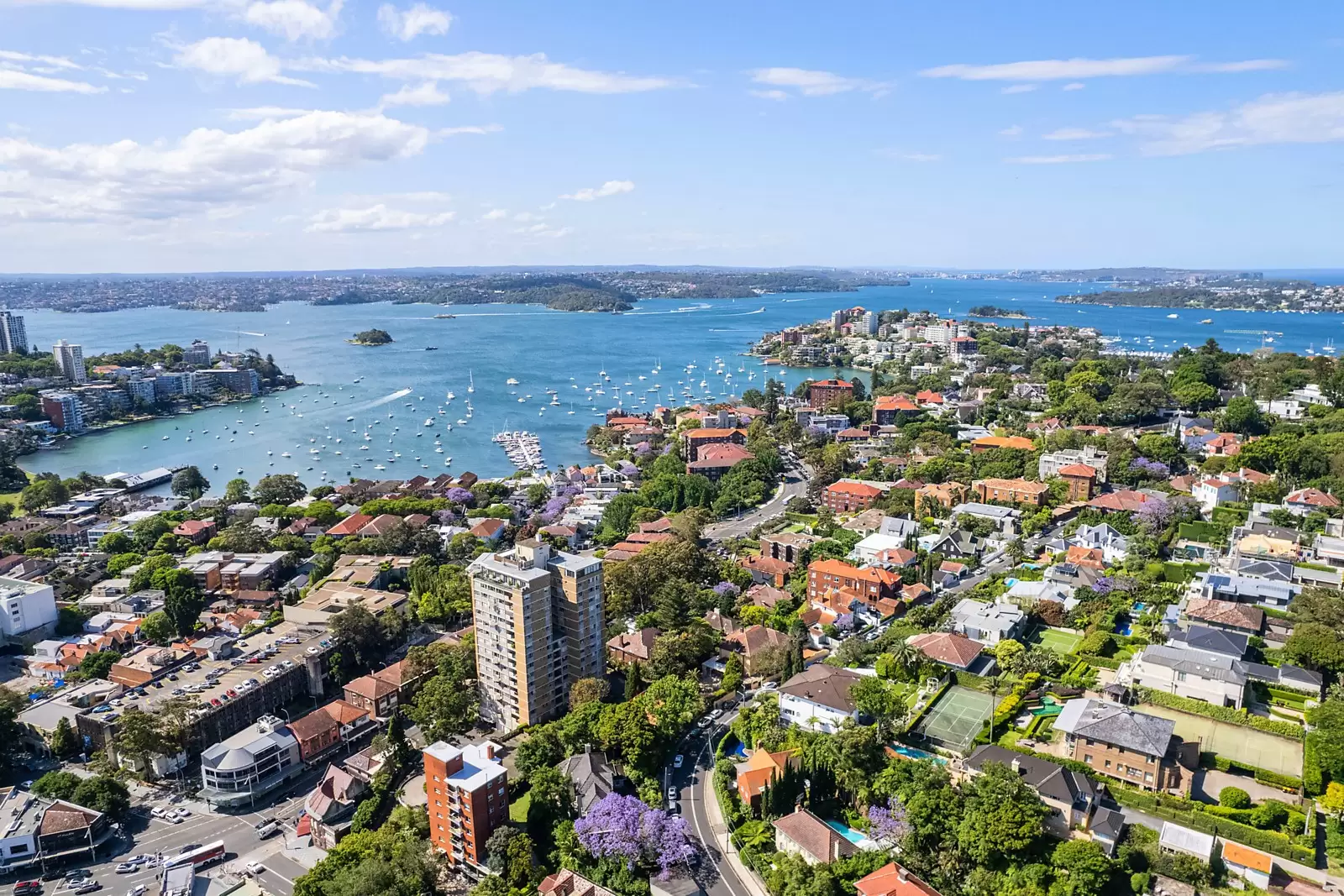 6 Fairfax Road, Bellevue Hill Sold by Sydney Sotheby's International Realty - image 22
