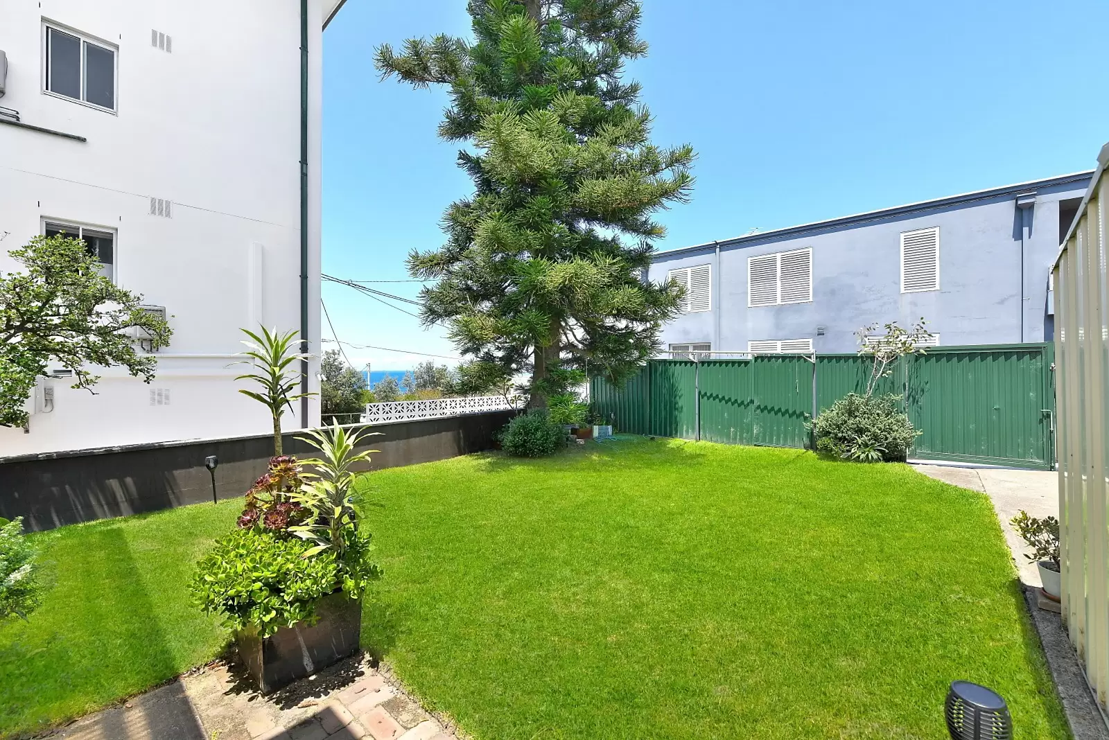 141 Boundary Street, Clovelly Sold by Sydney Sotheby's International Realty - image 14