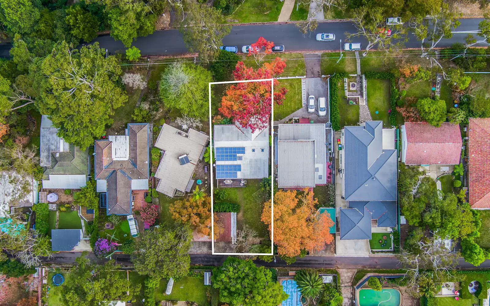 43 Rothwell Road, Turramurra Sold by Sydney Sotheby's International Realty - image 15