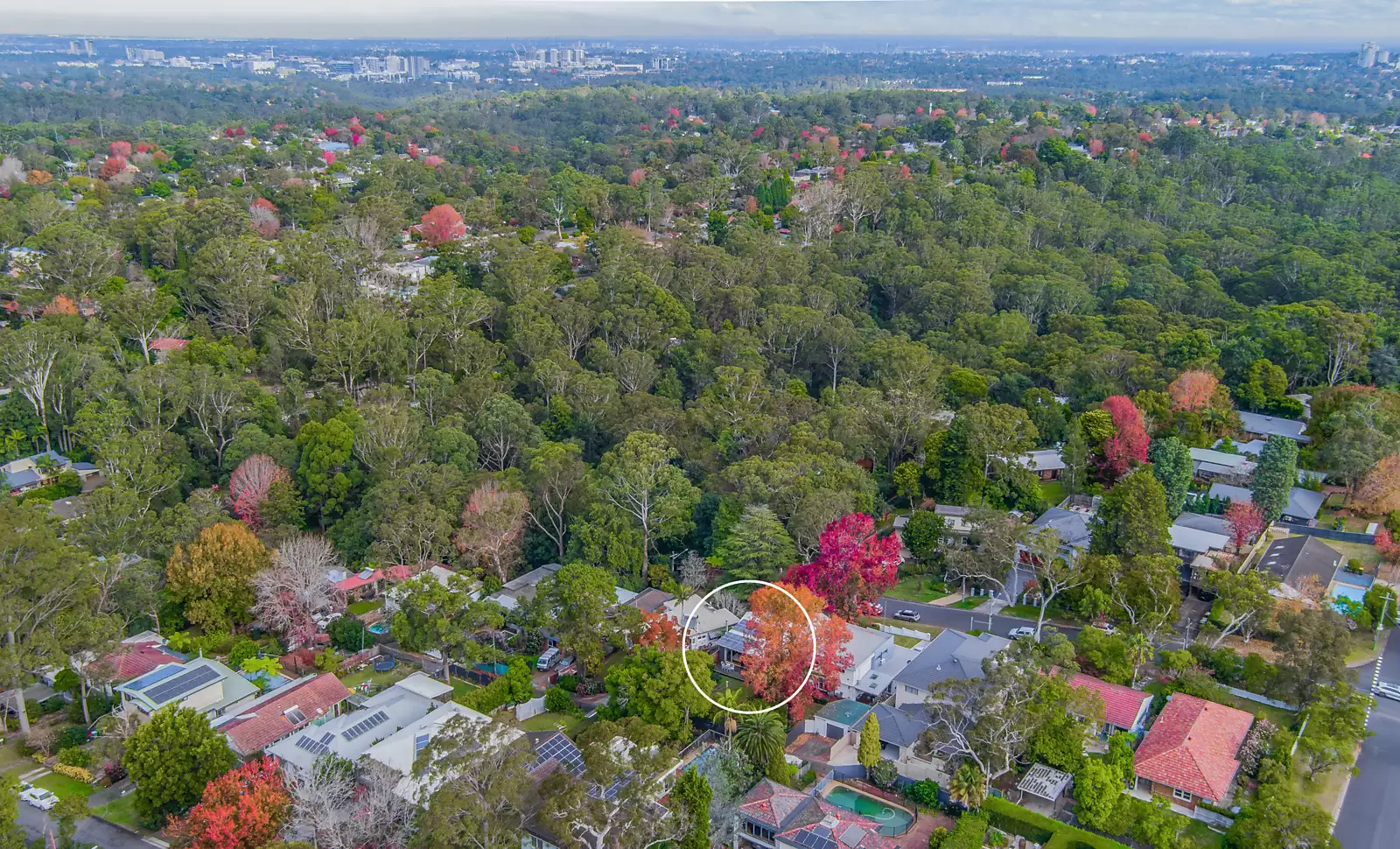 43 Rothwell Road, Turramurra Sold by Sydney Sotheby's International Realty - image 17