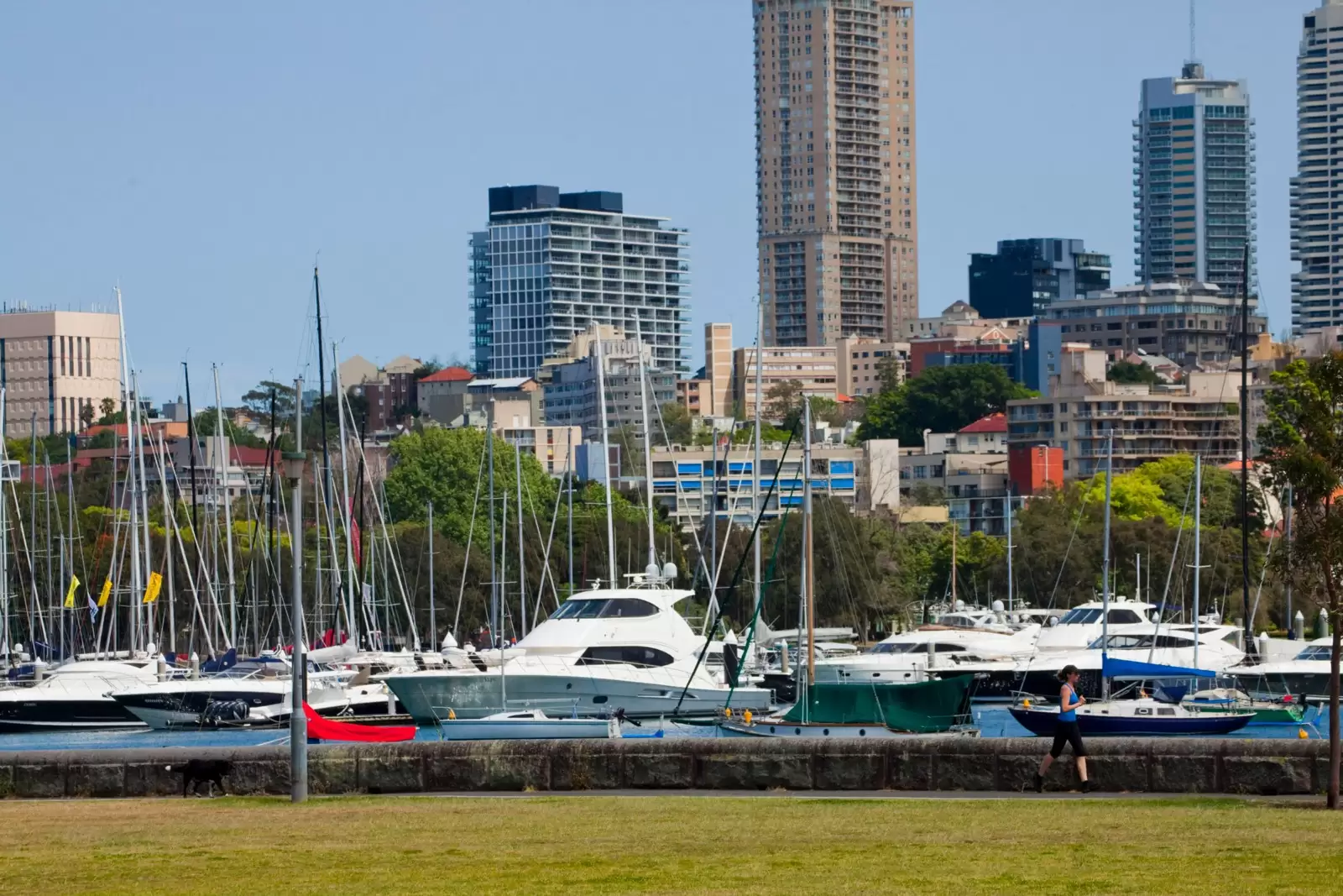 4/39 New Beach Road, Darling Point Sold by Sydney Sotheby's International Realty - image 13