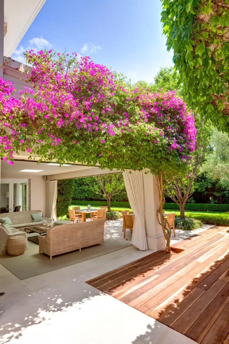 57 Bulkara Road, Bellevue Hill Sold by Sydney Sotheby's International Realty - image 14