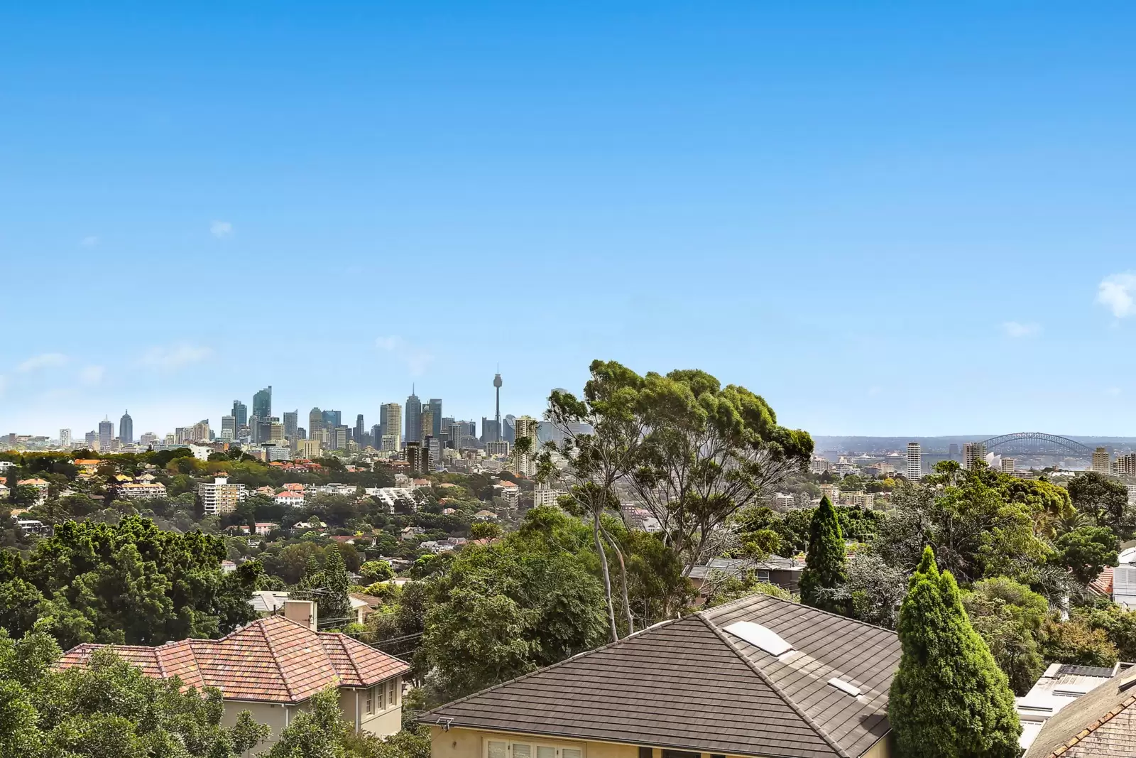 5 Rosslyn Street, Bellevue Hill Sold by Sydney Sotheby's International Realty - image 13