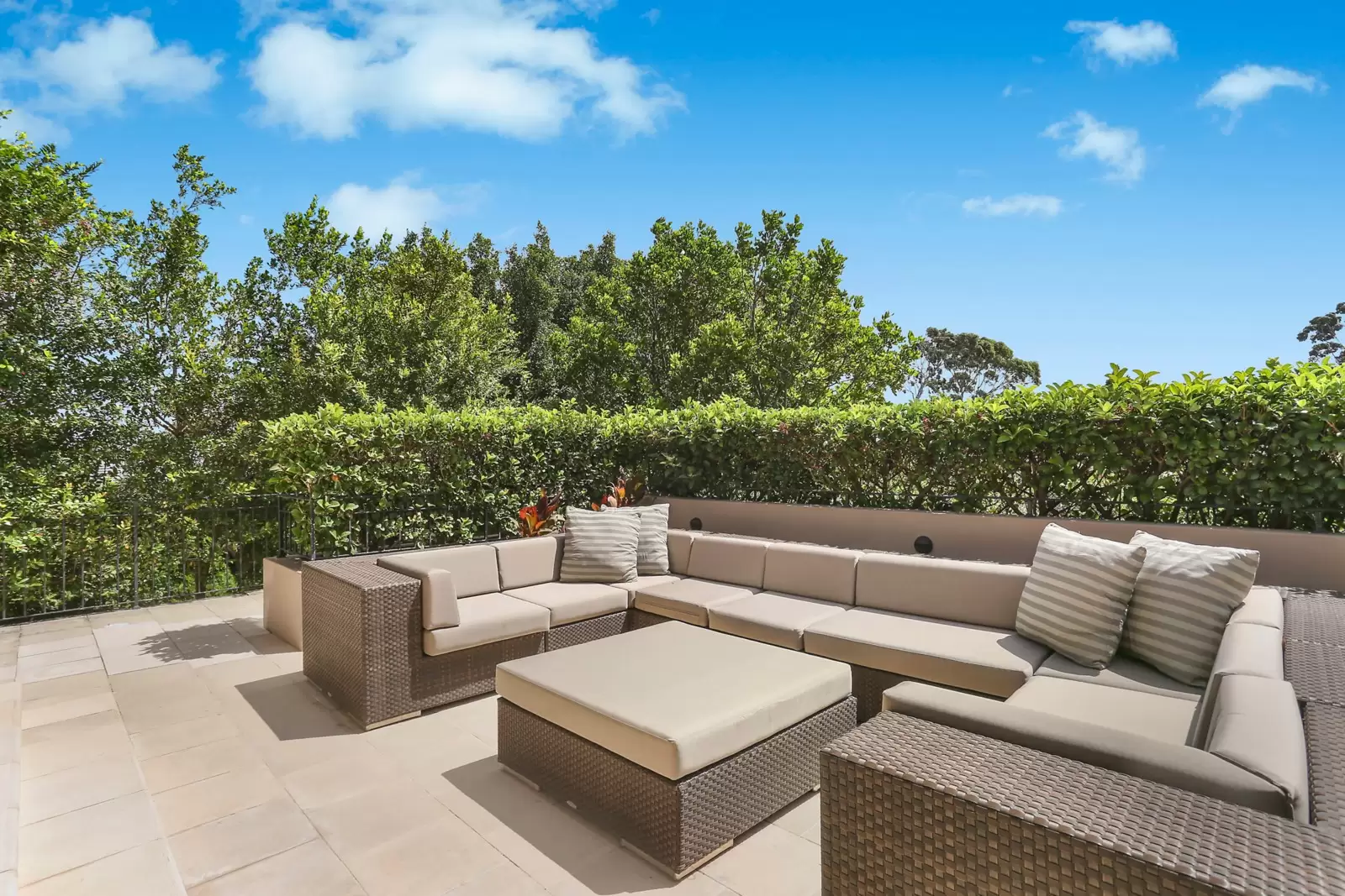 5 Rosslyn Street, Bellevue Hill Sold by Sydney Sotheby's International Realty - image 6