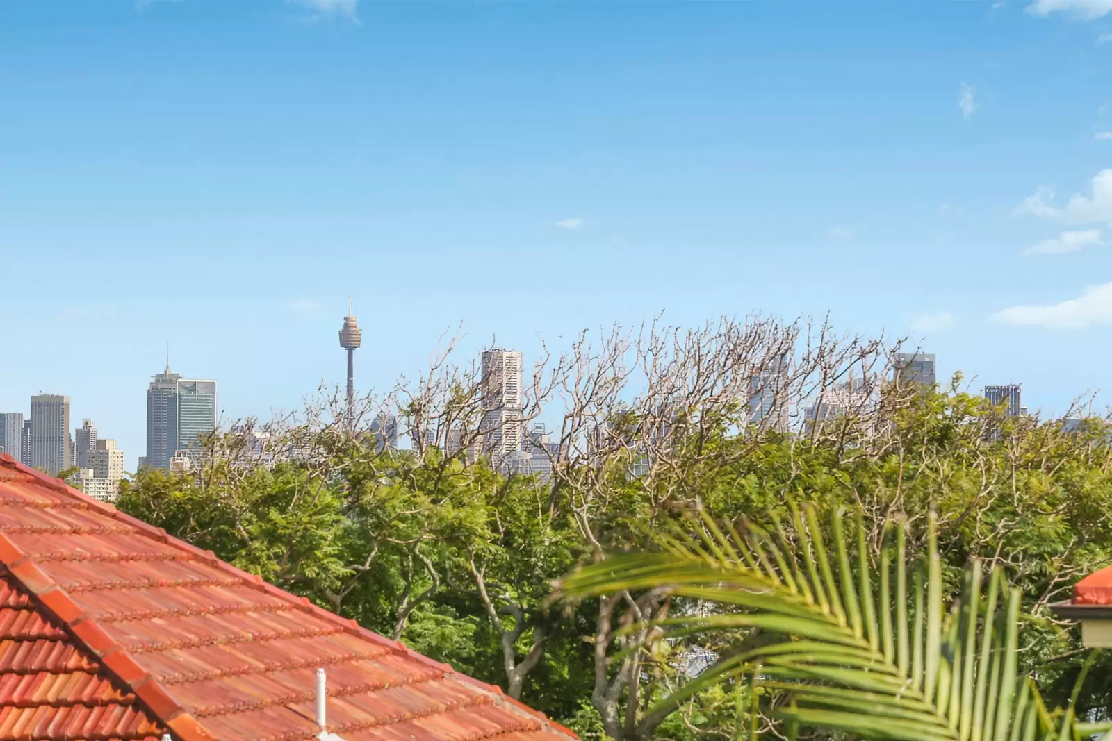 22 Chamberlain Avenue, Rose Bay Sold by Sydney Sotheby's International Realty - image 10