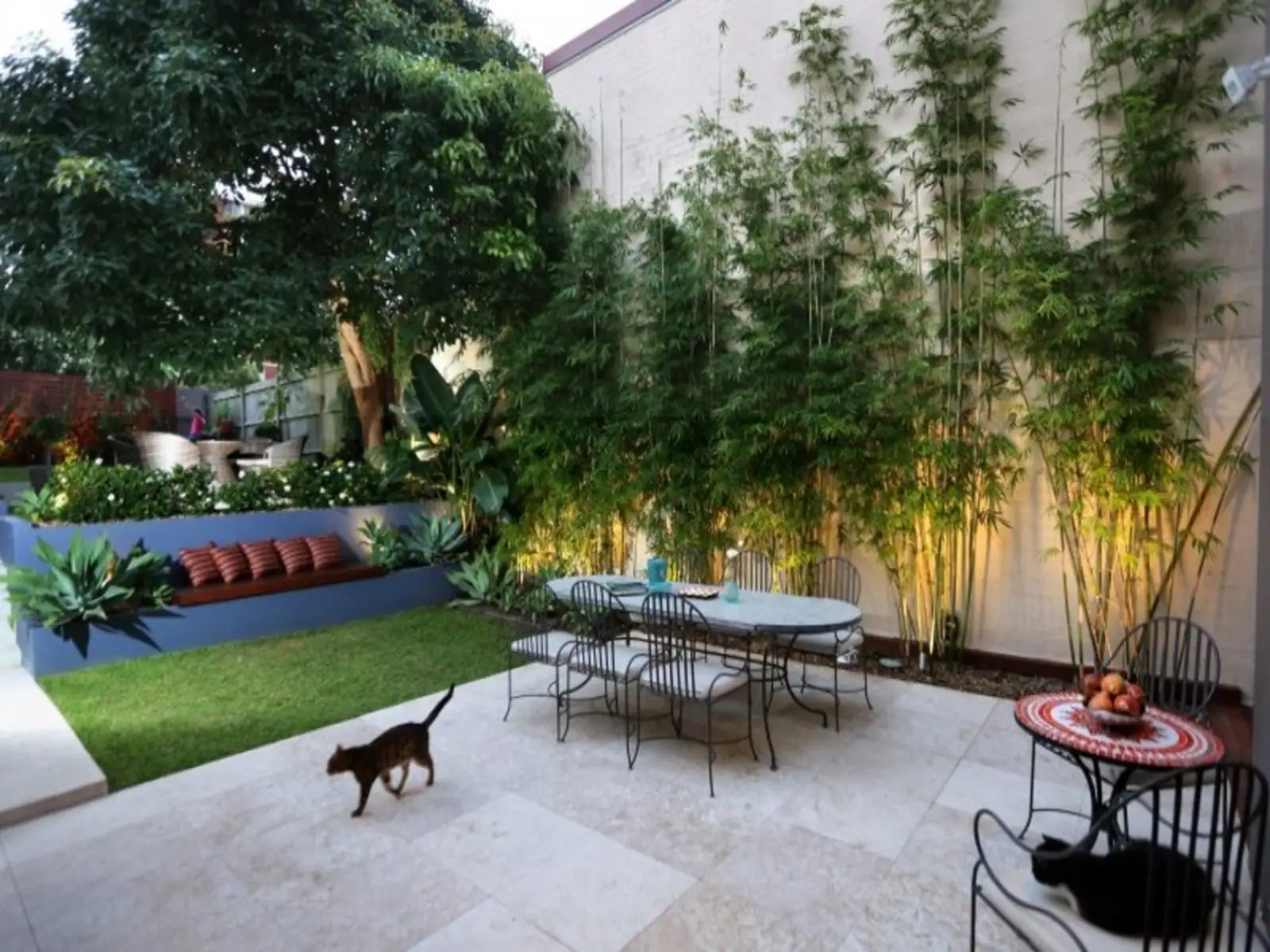 41 Flood Street, Bondi Leased by Sydney Sotheby's International Realty - image 3