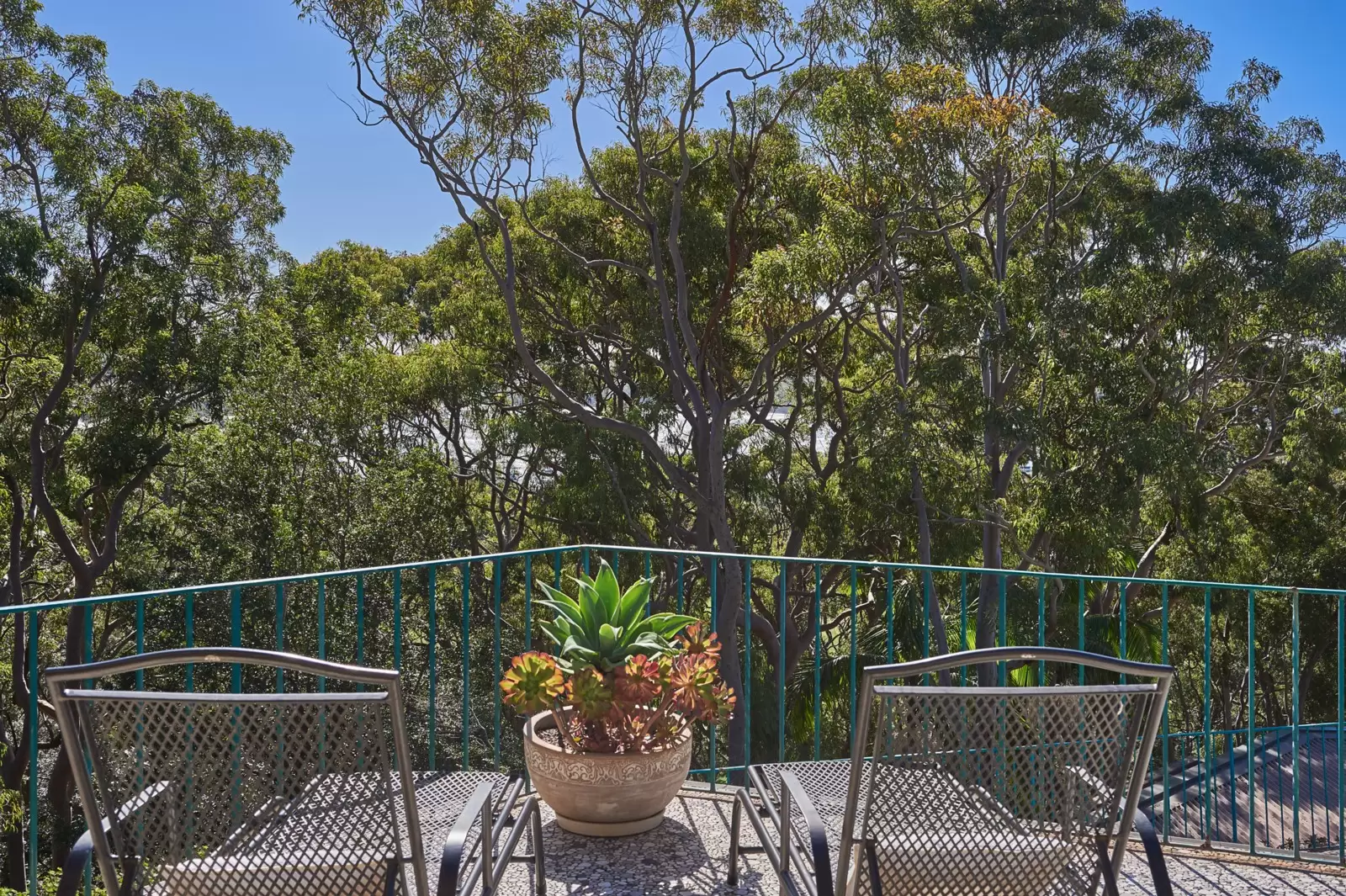 9 Coronation Avenue, Mosman Sold by Sydney Sotheby's International Realty - image 9
