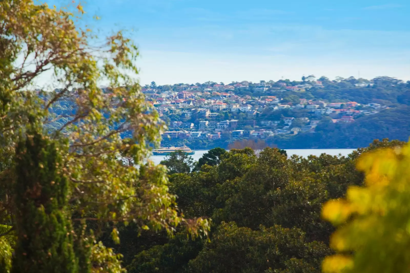 11/100 Birriga Road, Bellevue Hill Sold by Sydney Sotheby's International Realty - image 14