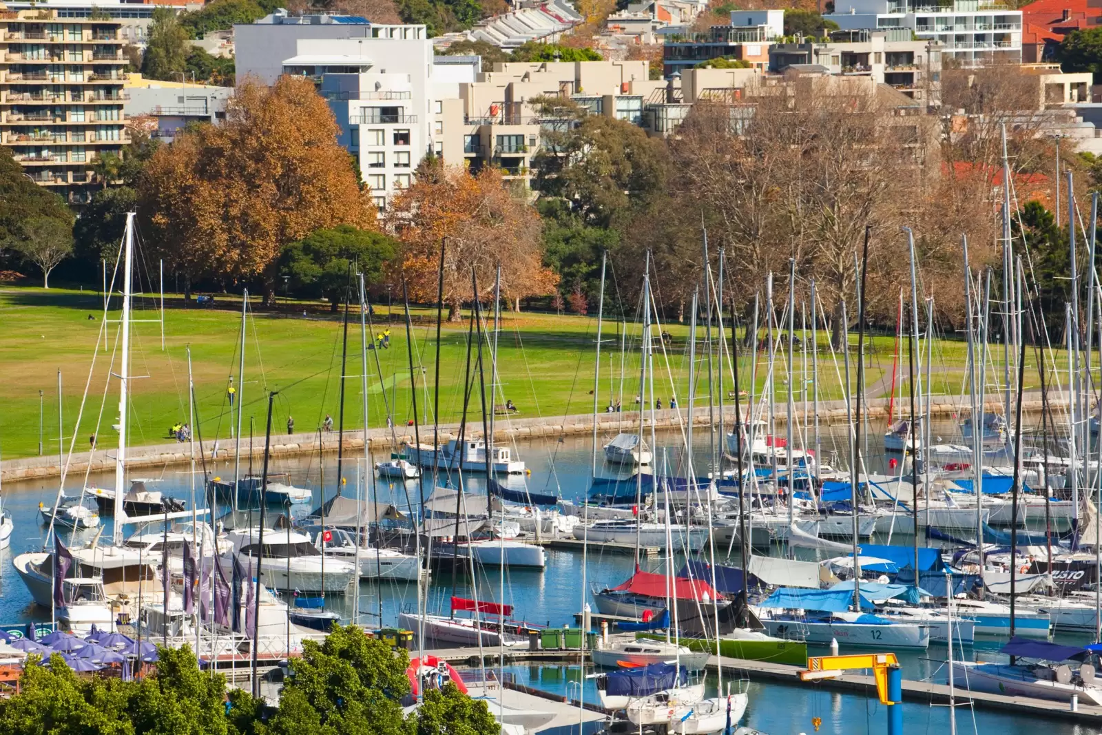 'Glenhurst Gardens' 50/11 Yarranabbe Road, Darling Point Sold by Sydney Sotheby's International Realty - image 12