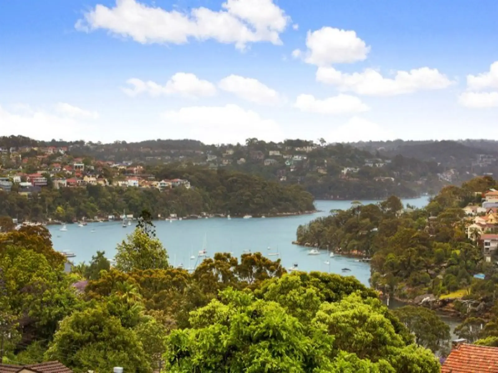 75 Awaba Street, Mosman Sold by Sydney Sotheby's International Realty - image 1