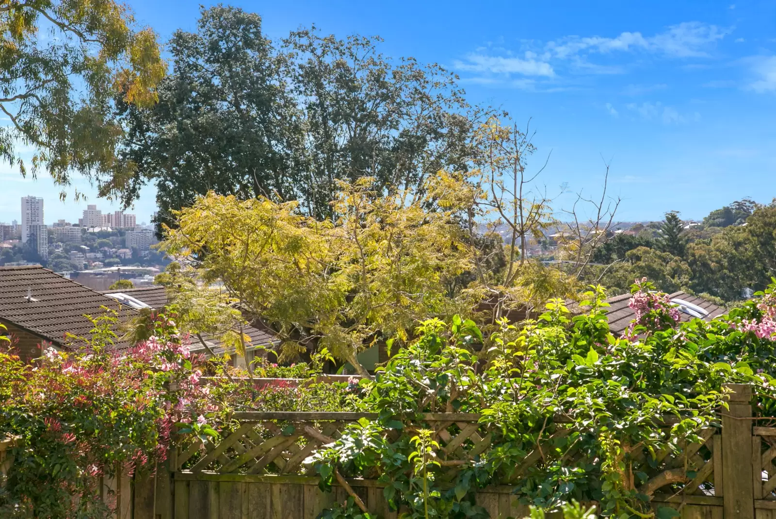 Woollahra Sold by Sydney Sotheby's International Realty - image 11
