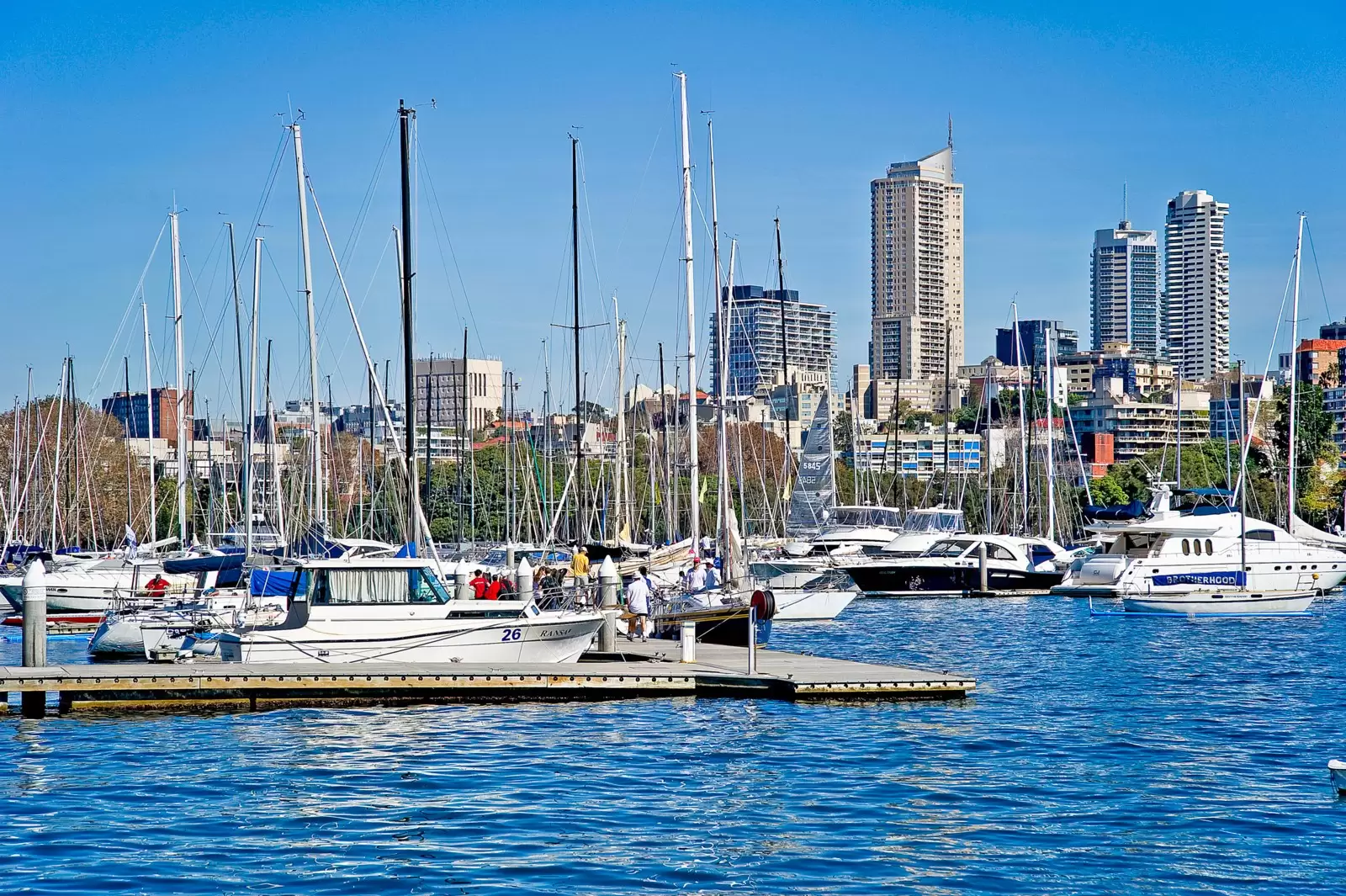 8/85 Yarranabbe Road, Darling Point Sold by Sydney Sotheby's International Realty - image 16