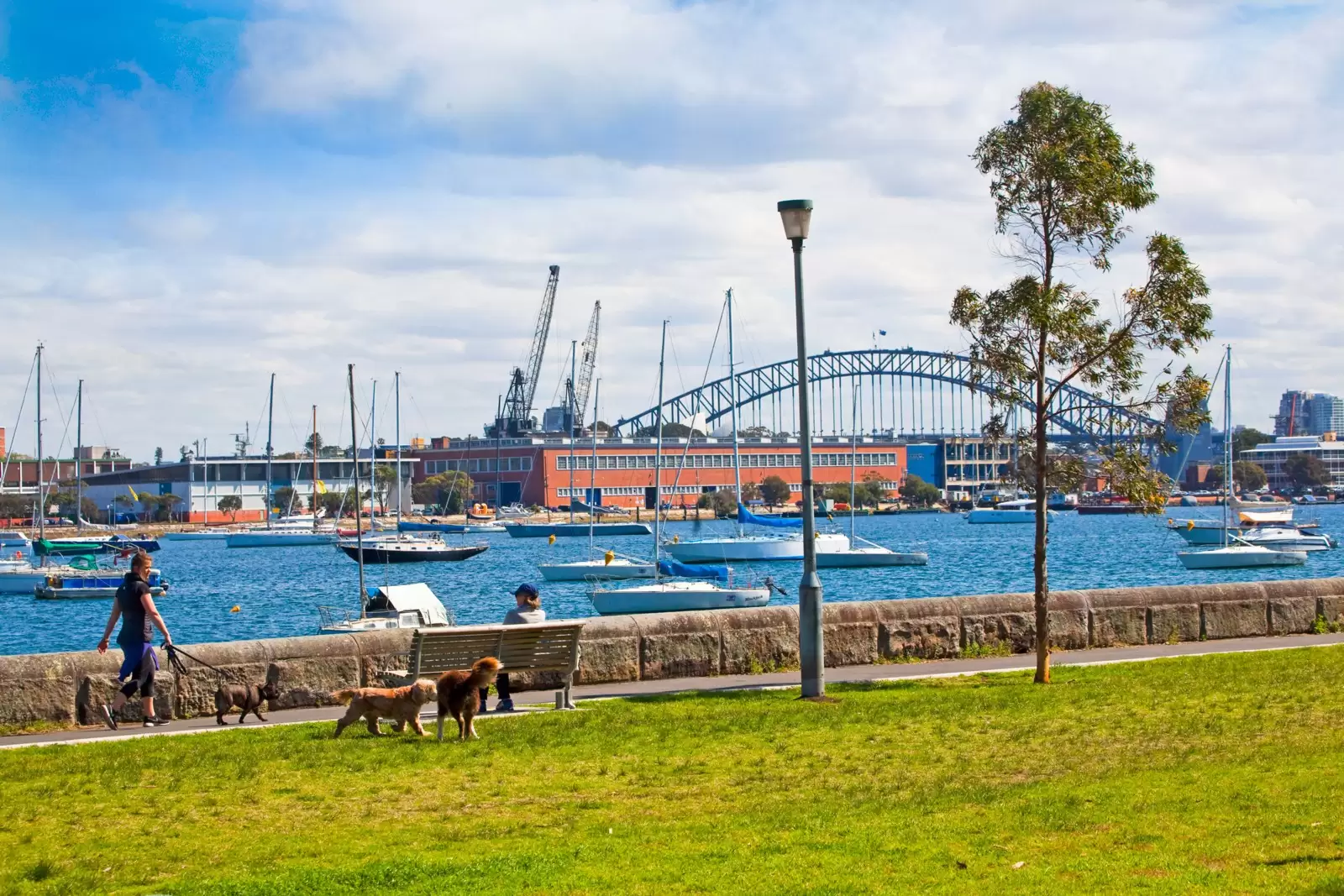 8/85 Yarranabbe Road, Darling Point Sold by Sydney Sotheby's International Realty - image 14