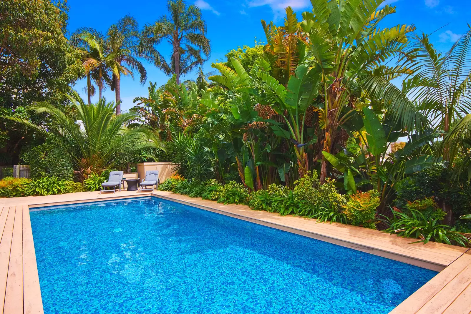 22 March Street, Bellevue Hill Sold by Sydney Sotheby's International Realty - image 9