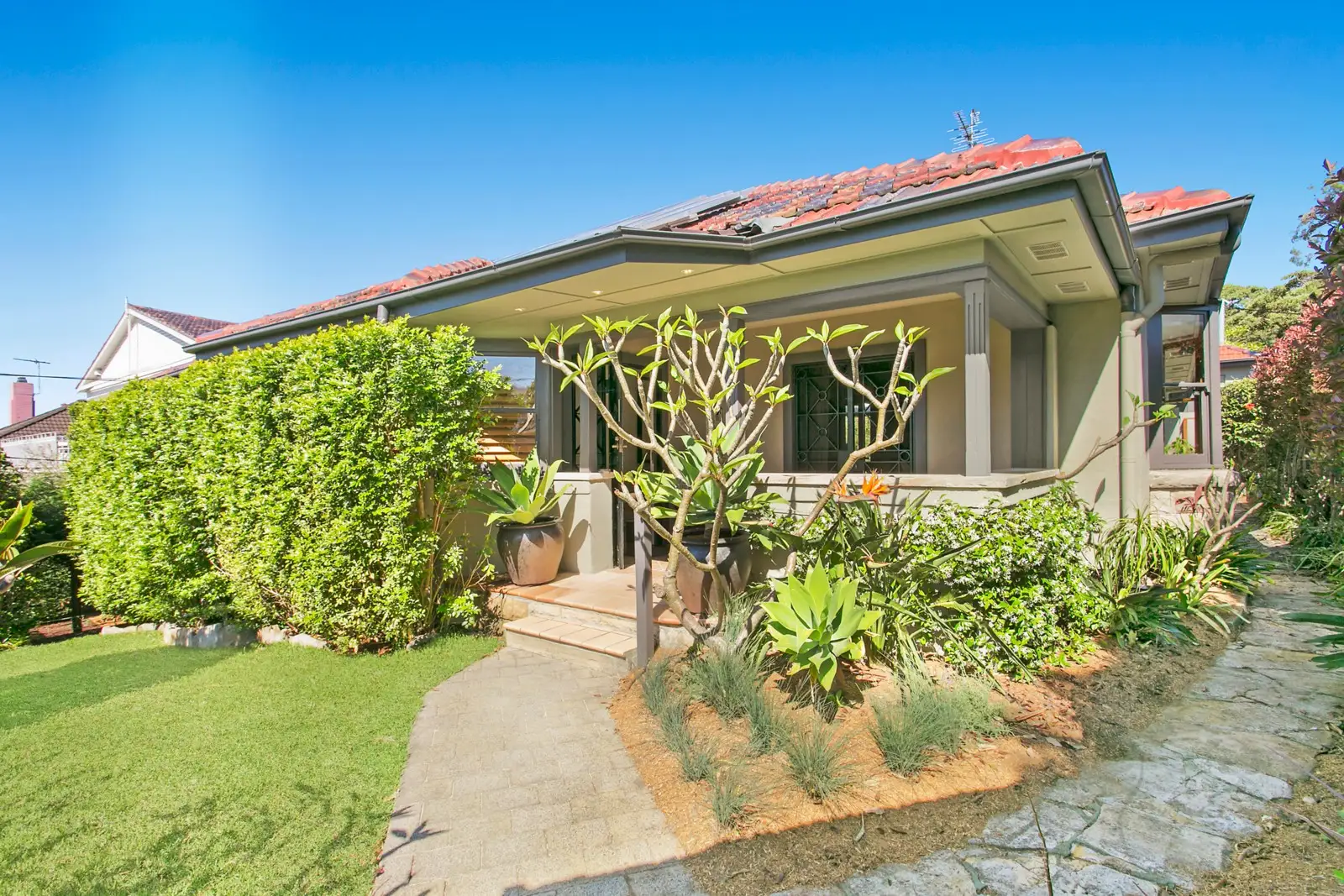25 March Street, Bellevue Hill Sold by Sydney Sotheby's International Realty - image 1