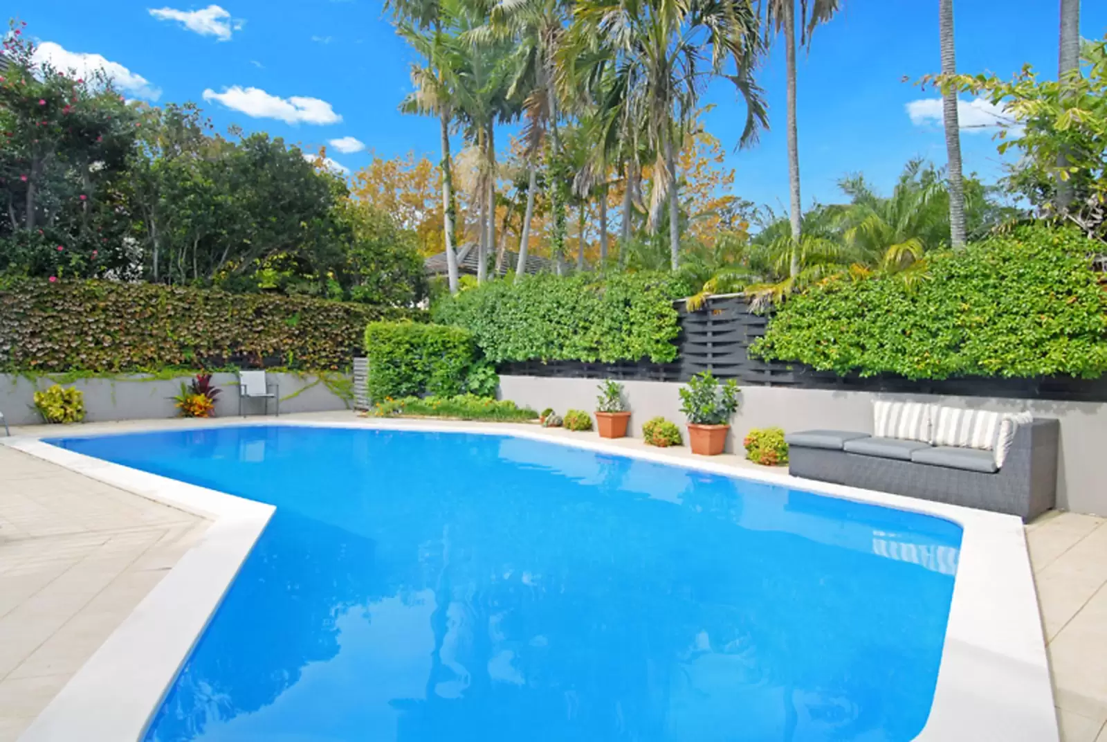 55 Olola Avenue, Vaucluse Leased by Sydney Sotheby's International Realty - image 6