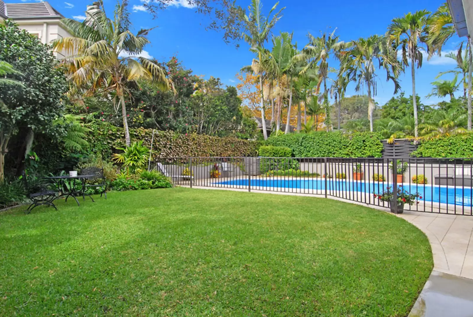 55 Olola Avenue, Vaucluse Leased by Sydney Sotheby's International Realty - image 5
