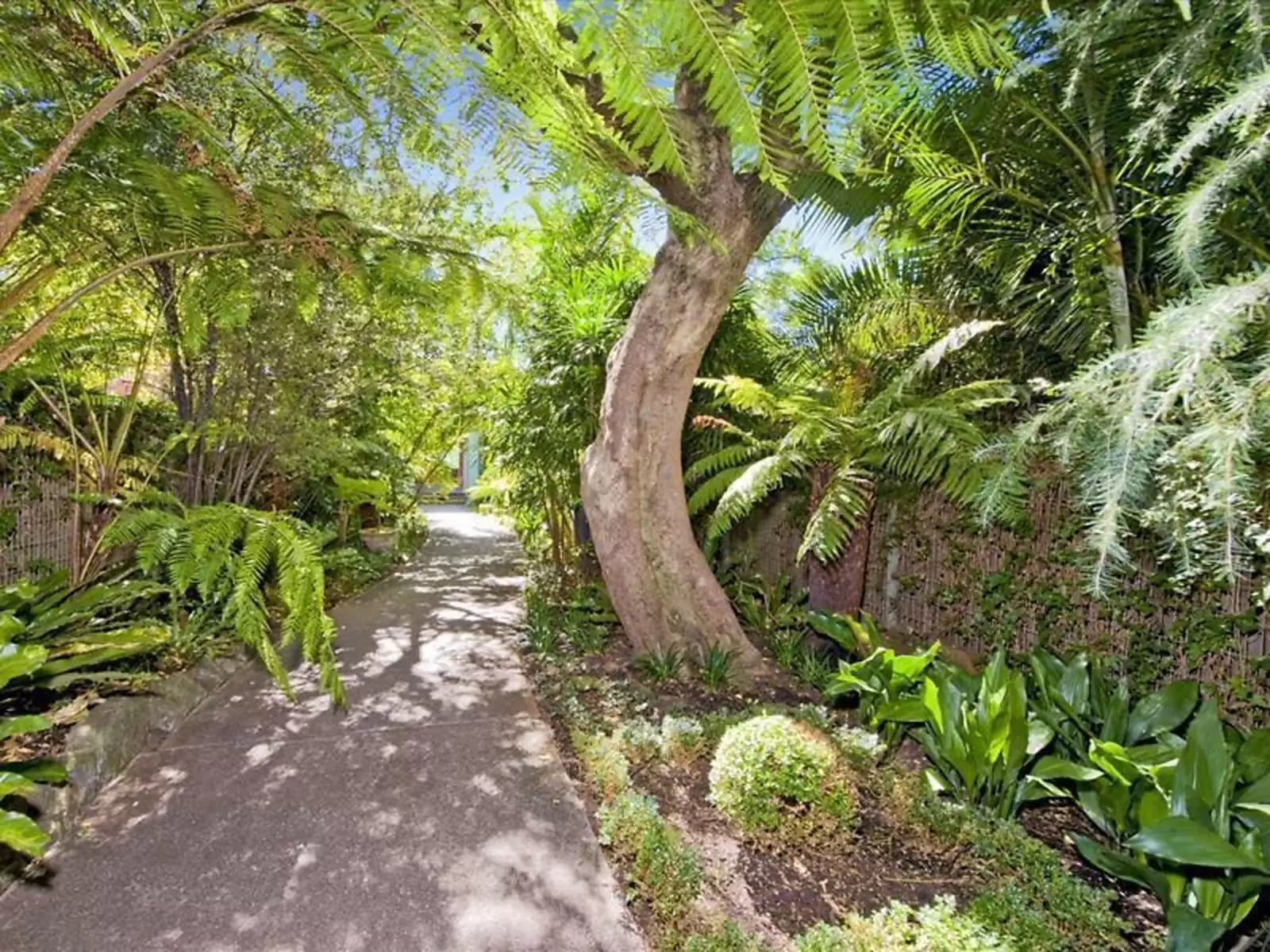 30 Stafford Street, Double Bay Sold by Sydney Sotheby's International Realty - image 14