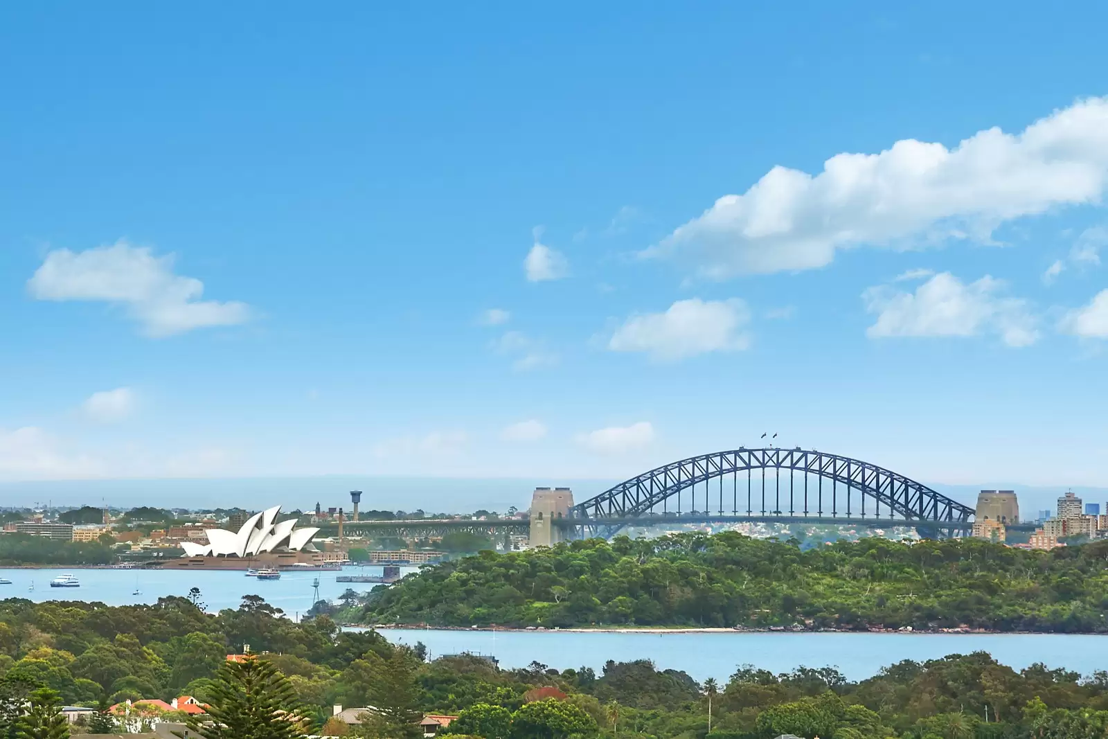10 John Dykes Avenue, Vaucluse Sold by Sydney Sotheby's International Realty - image 9