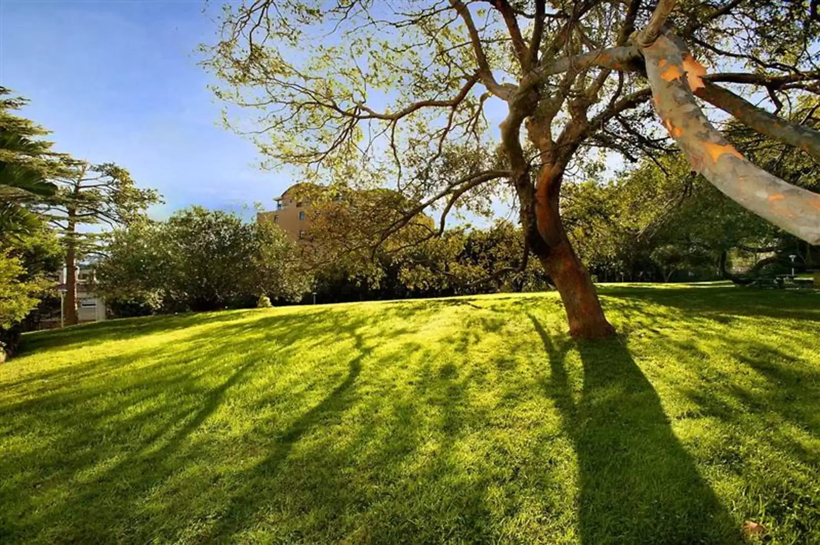 Darling Point Sold by Sydney Sotheby's International Realty - image 7