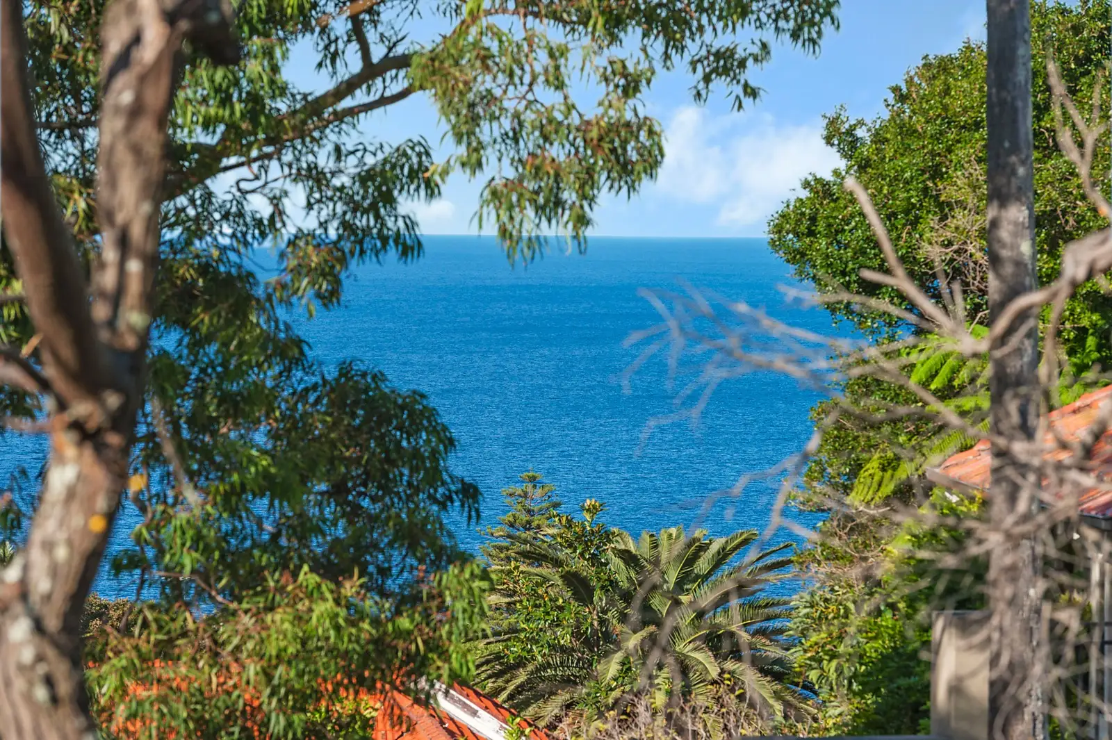 8 Girilang Avenue, Vaucluse Sold by Sydney Sotheby's International Realty - image 3