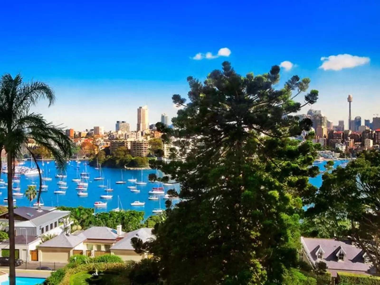 Darling Point Sold by Sydney Sotheby's International Realty - image 7