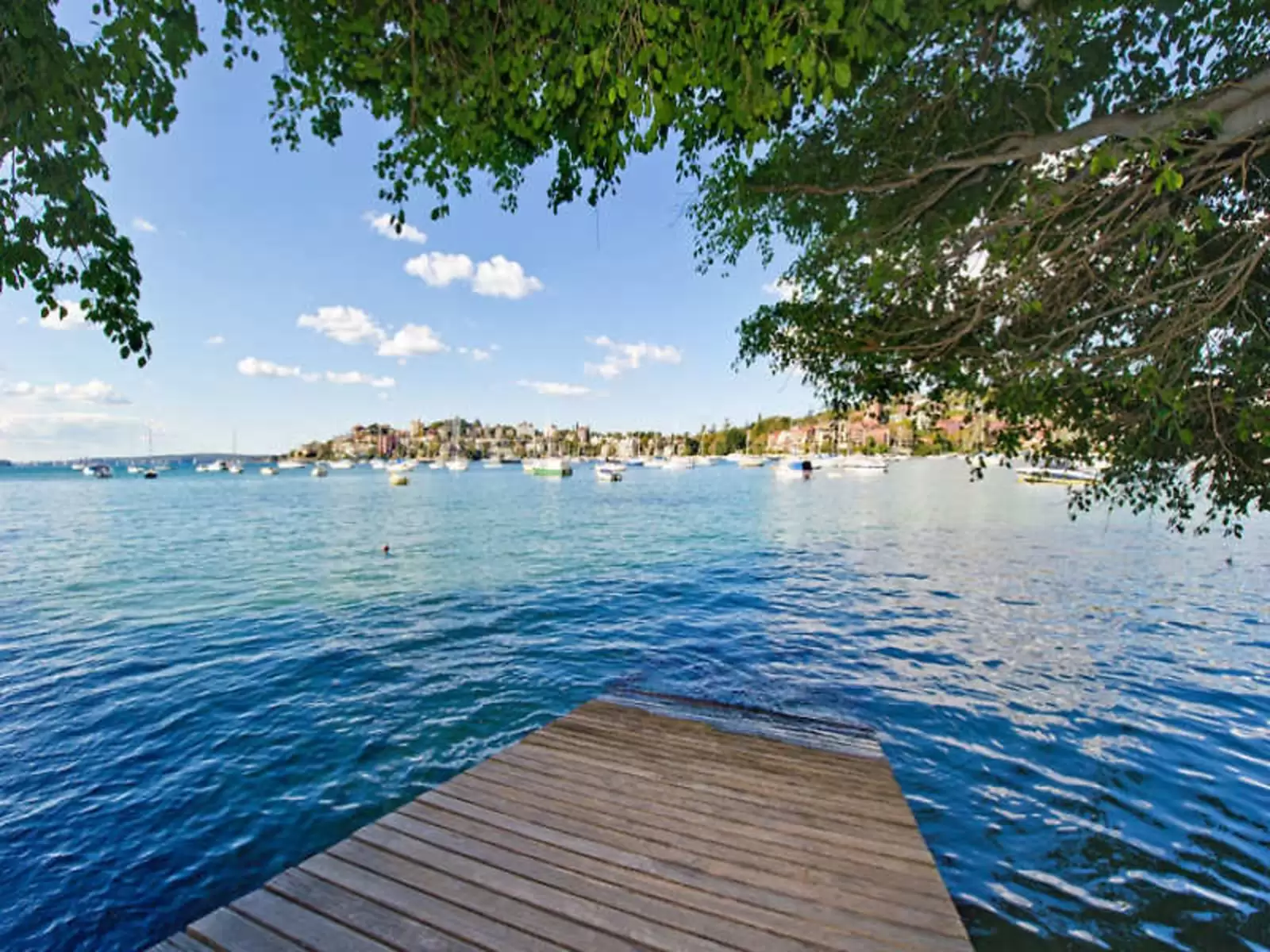 Darling Point Sold by Sydney Sotheby's International Realty - image 15