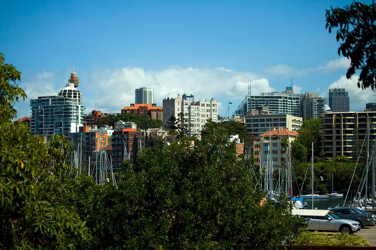 Darling Point Sold by Sydney Sotheby's International Realty - image 14
